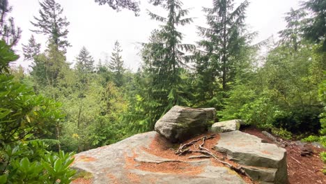 A-view-from-the-top-of-cliff-looking-over-tree-tops-of-a-dense-conifer-forest