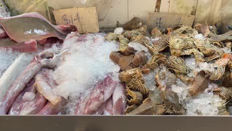 Fresh-raw-seafood-of-prawns,-crayfishes-and-cuttlefishes-sold-in-Singapore-Chinatown-Market