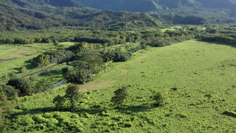Low-tilting-up-aerial-shot-of-the-dramatic-mountains-on-the-Hawaiian-island-of-Kaua'i
