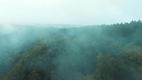 Above-the-peaks-of-a-lush-green-forest-a-blanket-of-atmospheric-haze