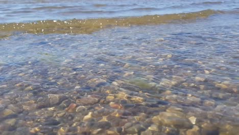 Baltic-sea-small-waves-come-in,-transparent-water-we-can-see-small-pebble-rock-in-bottom
