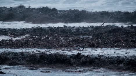 Black-muddy-waves-with-debris-crash-onto-a-beach