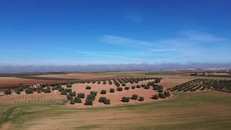 Paisaje-Del-Campo-De-Cultivo-De-La-Mancha-Con-Cielo-Azul-Desde-La-Vista-De-Drones