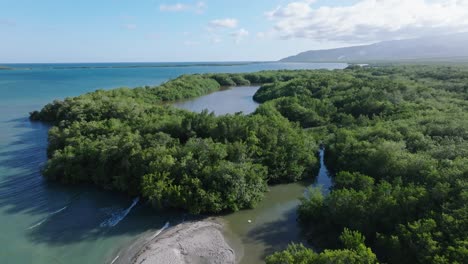Aerial-flyover-Playa-Los-Negros-with-walking-Tourist-at-sand-enjoying-mangrove-forest-3with-river-and-Caribbean-Sea-at-sunny-summer-day-in-Azua