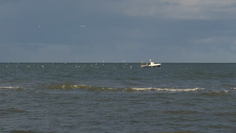 Flock-of-Seagulls-Swarming-Fishing-Boat-at-Sea-STATIC