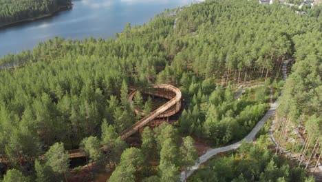 Panorama-De-Una-Pasarela-Accesible-Sobre-Las-Copas-De-Los-árboles-Que-Serpentea-A-Través-De-Un-Bosque-De-Pinos-En-El-Parque-De-Actividades-Hamaren,-Fyresdal,-Noruega