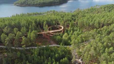 Dense-Pine-Trees-Over-Forest-Lakeside-On-Hamaren-Activity-Park-In-Fyresdal,-Telemark-Norway