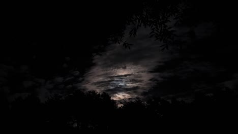 Full-Moon-Shining-Through-Fast-Moving-Clouds,-Captured-Amidst-the-Dancing-Leaves-of-an-Enchanted-Forest---Magical-Night,-Timelapse
