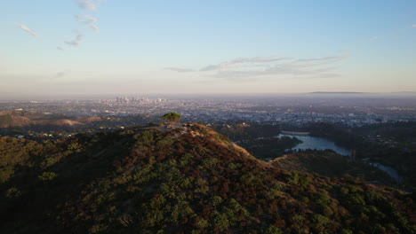 A-Cinematic-Drone-Shot-of-Wisdom-Tree-with-Los-Angeles-in-the-Background-at-Golden-Hour