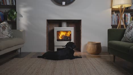Black-dog-lying-down-in-front-of-lit-stove