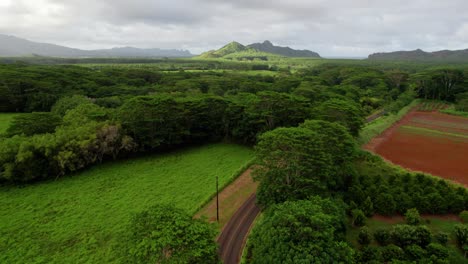 Kauai-Hawaii-Landdrohnenaufnahmen