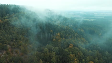 Drone-View-of-Misty-Forest,-Aerial-view-of-the-forest-in-the-morning-with-fog