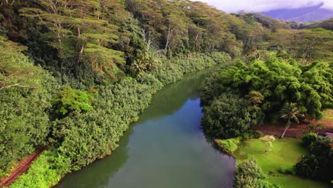 Drohnenaufnahmen-Des-Flusses-Wawai-Hawaii-Kalihiwai