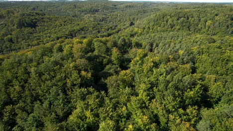 Aerial-View-of-Green-Broad-leaved-Forest-in-Witomino-Gdynia
