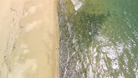Wellen-Plätschern-An-Der-Küste-Im-Paradies,-Im-Tropischen-Queensland,-Australien