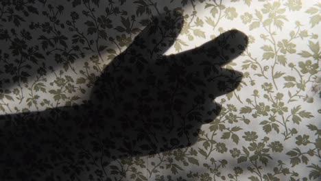 Shadow-of-female-hand-reflected-on-wall-with-vintage,-floral-wallpaper