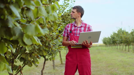 Gardener-agronomist-man-farmer-analyze-quality-of-hazelnuts-trees-making-notes-in-laptop-journal