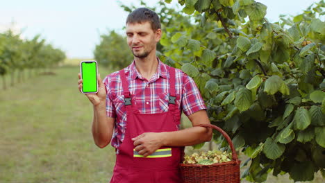 Caucasian-man-farmer-showing-pointing-green-screen-chroma-key-on-smartphone-good-harvest-hazelnuts