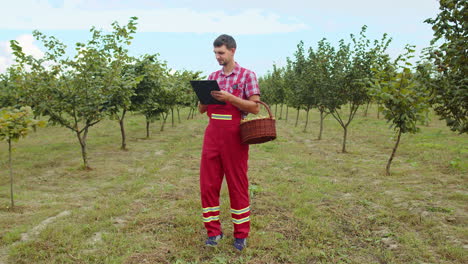 Gardener-agronomist-man-farmer-analyzing-hazelnuts-tree-rows-in-garden-making-notes-in-journal