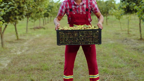 Happy-man-agronomist-shows-good-harvest-of-raw-hazelnuts-holding-full-nuts-box-in-hands-in-garden