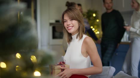 Portrait-of-attractive-woman-holding-Christmas-present
