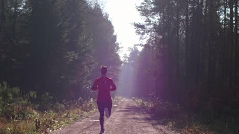 Rear-view-of-man-running-in-the-forest