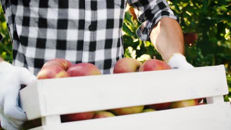 Man-carrying-a-full-crate-of-organic-apples