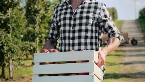 Close-up-of-farmer-carrying-a-full-crate-of-apples