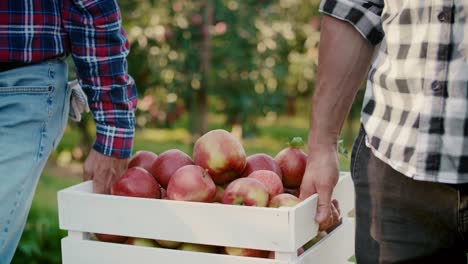 Close-up-of-two-men-carrying-a-full-crate-of-apples