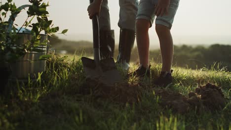 Video-of-grandfather-and-grandson-planting-a-tree