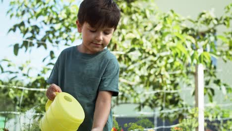 Video-of-boy-watering-vegetables-from-a-yellow-watering-can