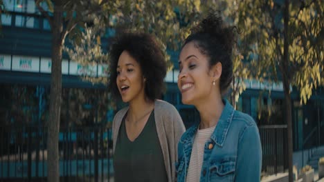 Handheld-video-of-two-smiling-friends-walking-in-the-park