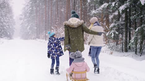 Rear-view-of-family-walking-in-winter-forest