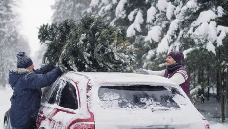 Mann-Mit-älterem-Vater-Packt-Weihnachtsbaum-Auf-Das-Auto