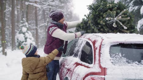 Man-with-son-packing-Christmas-tree-into-roof-of-car