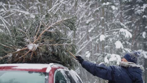 Man-with-senior-father-attach-Christmas-tree-to-the-car