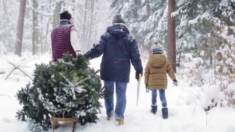 Family-walking-in-forest-with-Christmas-tree