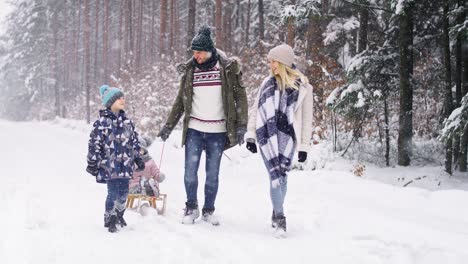 Video-of-parents-with-children-walking-in-frozen-winter-forest