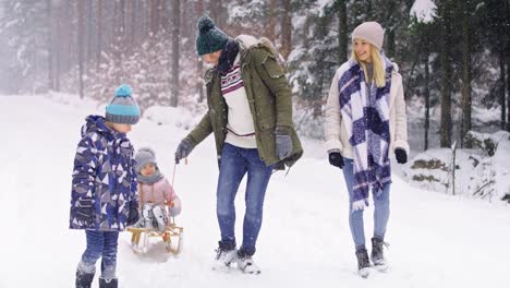 Family-pulling-sleds-through-snow-in-the-forest