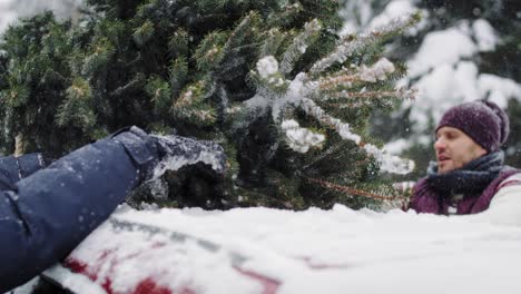 Man-with-senior-father-with-Christmas-tree-on-the-car