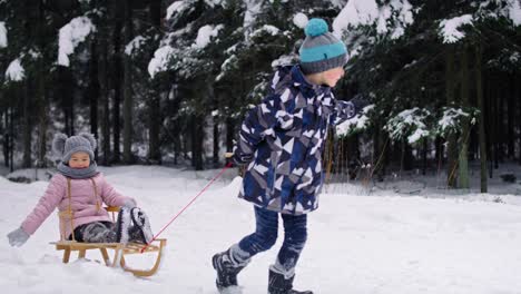 Wideo-of-boy-pulling-sledge-with-little-sister-in-snow