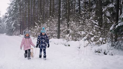 Video-of-siblings-pulling-a-sled-in-the-winter-forest
