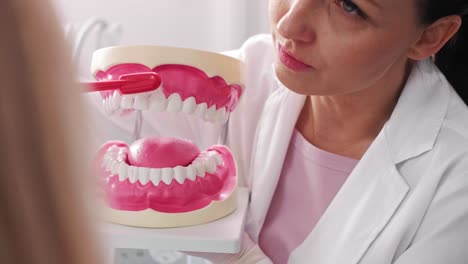 Dentist-showing-the-proper-way-of-brushing-teeth-in-dentist's-clinic