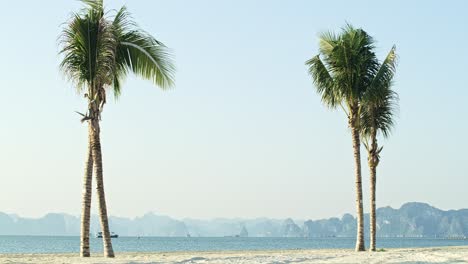 Handheld-view-of-tropical-beach-of-Ha-long