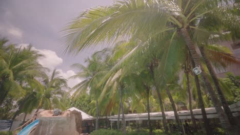 Entspannender-Zufluchtsort-Am-Pool-In-Der-Bucht-Von-Subic,-Der-Sich-Durch-üppige-Palmen-Auf-Den-Philippinen-In-Sonnenlicht-Verwandelt