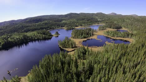 High-speed-aerial-view-of-lakes-and-forest-in-the-mountains-on-a-sunny-day
