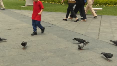 Ein-Kleiner-Junge,-Der-In-Einem-öffentlichen-Park-Mit-Tauben-Spielt