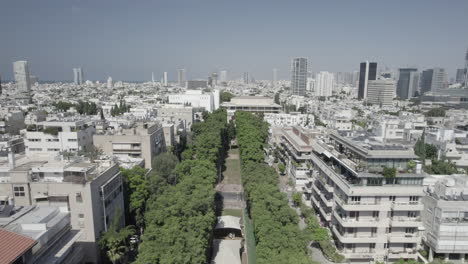 Flying-above-the-trees-of-Rothschild-blvd-to-Habima-Theater-new-building-In-Tel-Aviv-and-Menashe-Kadishman-statue,-it's-a-social-and-dating-meeting-place