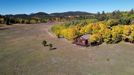 Aerial-footage-of-a-cabin-in-aspen-trees-in-the-fall