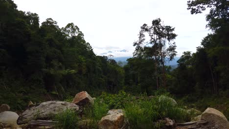 Slowly-lifting-shot-of-the-jungle-in-Malaysia-with-a-lot-of-trees,-rocks,-and-mountains-in-the-background